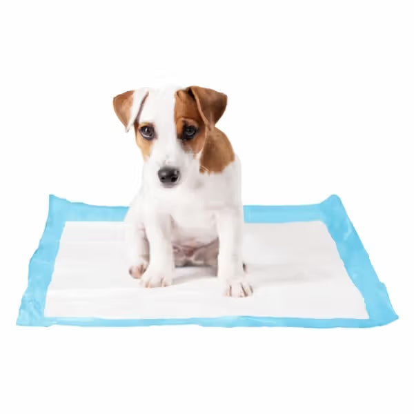 Duvo Plus - Resguardo para cães