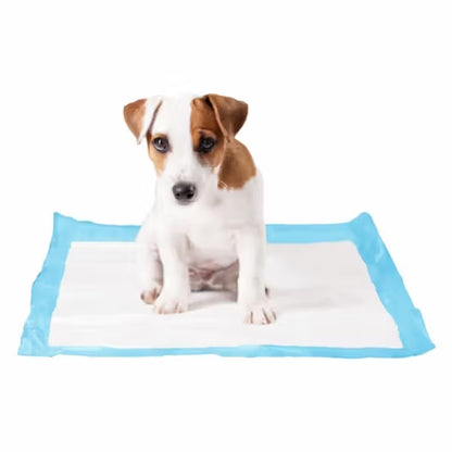 Duvo Plus - Resguardo para cães
