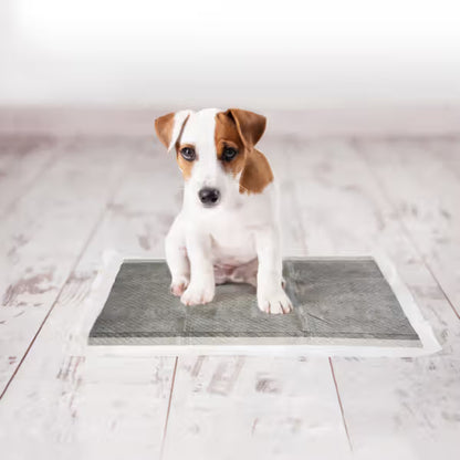 Duvo Plus - Resguardos com Carvão Ativado para Cães