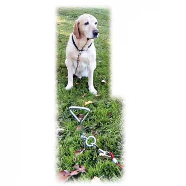 Kerbl Estaca Espiral com Cabo de Aço - Dog stake