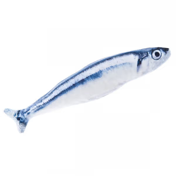Ferribiella Sardinha de Tecido com Matatabi - Brinquedo para gatos