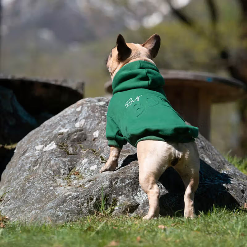 Ferribiella Boss Dog Hoodie - Dry dog food