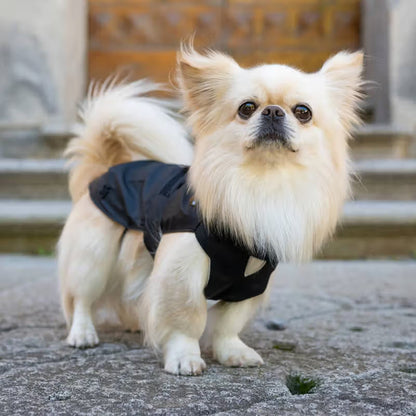 Ferribiella Casaco Impermeável Pocket Preto - for dogs