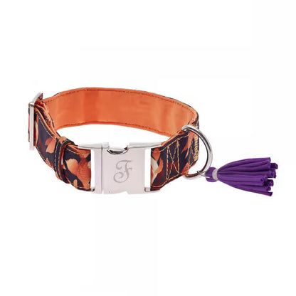 Ferribiella Kami - Dog collar