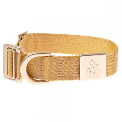Ferribiella Mida - Collar para perros