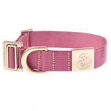 Ferribiella Mida - Collar para perros