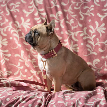 Ferribiella Mida - Collar para perros