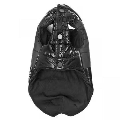 Ferribiella Bizarre - Abrigo impermeable acolchado para perro