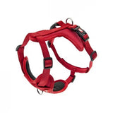 Ferribiella Peitoral Cesare XS - Peitoral para cão