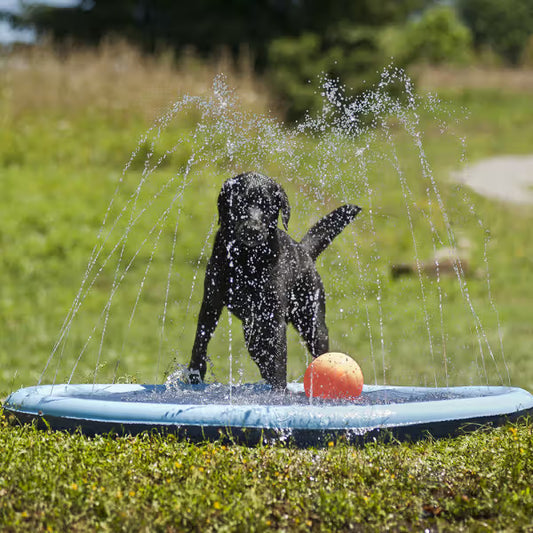 Ferribiella Dog Paddling Pool with Water Sprinklers