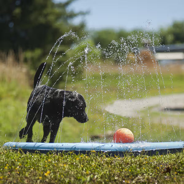 Ferribiella Piscina con Aspersores de Agua para Perros
