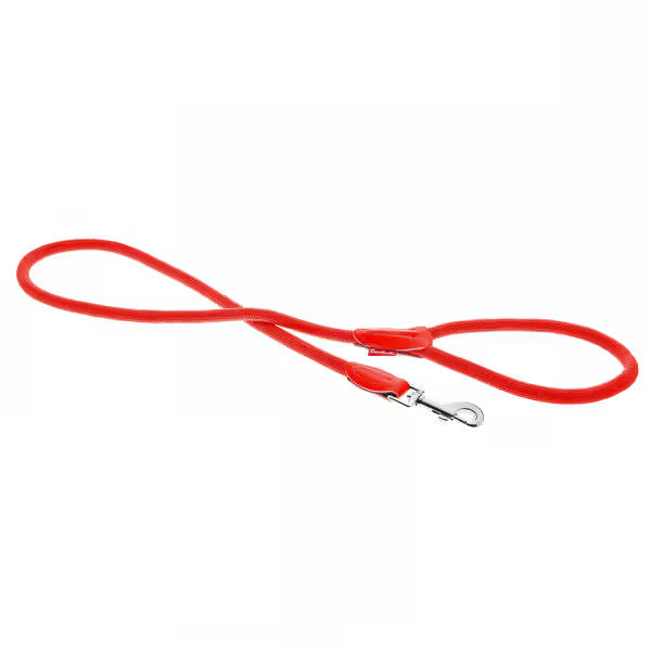 Ferribiella Nylon Dog Lead
