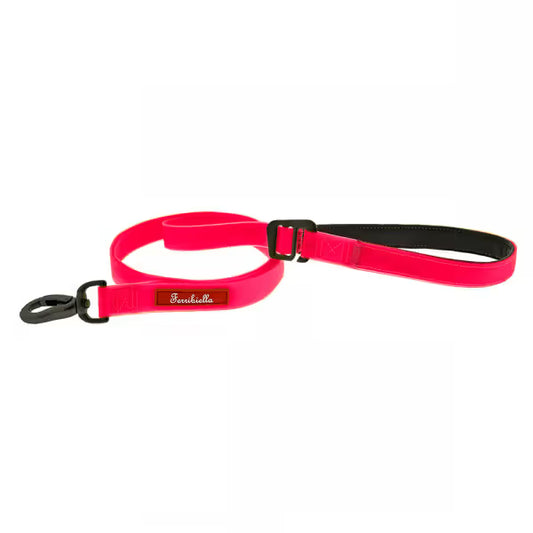 Ferribiella - Training lead for dogs