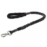 Ferribiella 105 cm / 25 mm - Retractable dog lead