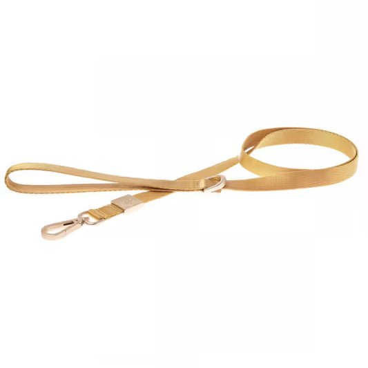 Ferribiella Mida - Dog lead