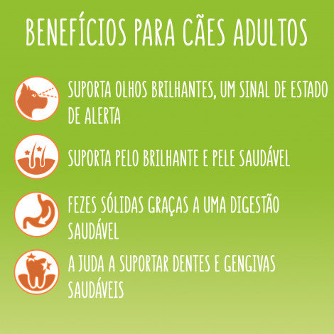 Alimento para perros adultos Friskies Balance Aves y verduras