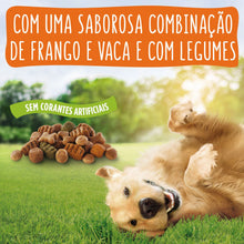 Friskies Balance Cão Adulto Frango e Vaca - Ração seca para cão