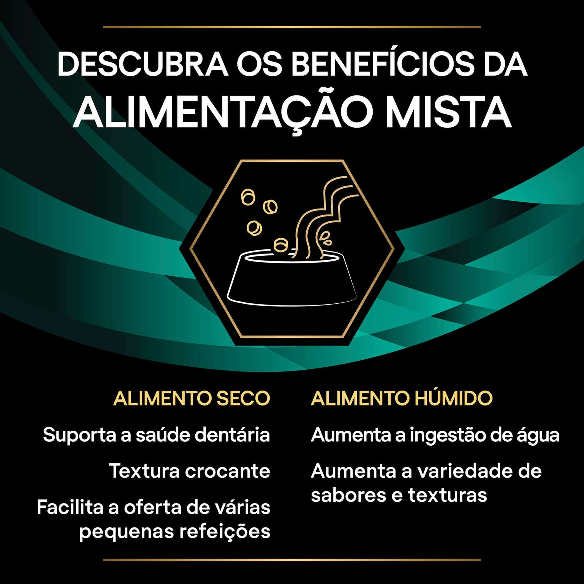 https://cdn.shopify.com/s/files/1/0916/7627/9129/files/g3.jpg?v=1762515347