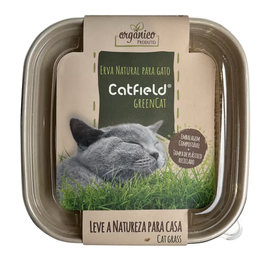Catfield GreenCat Natural Cat Grass - Cat snack