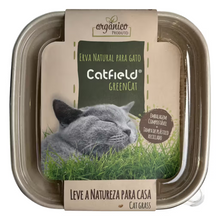 Catfield GreenCat Natural Cat Grass - Cat snack