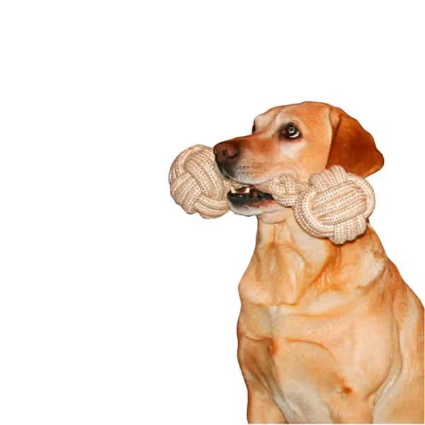 Kerbl - Dog toy