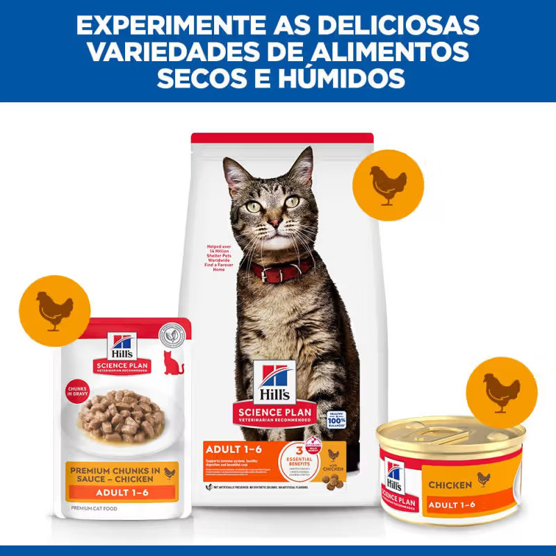 Hill's Gato Adulto Pollo - Comida húmeda para gatos