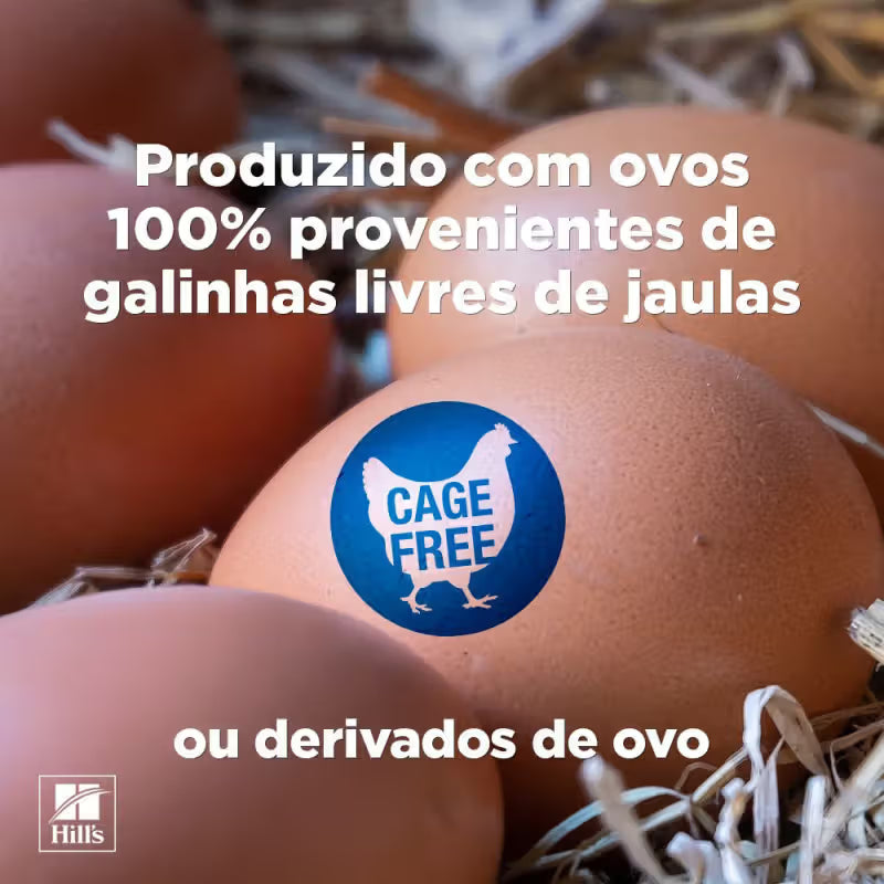 Hills Gato Adulto Salmão - Ração húmida para gato