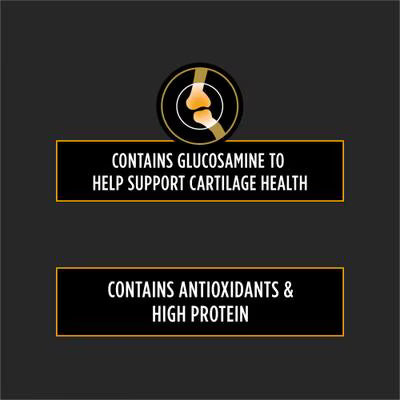 PPVD Canine JM Veterinary Dog Food - Joint Mobility | 12 kg