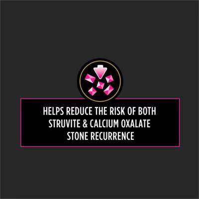 Alimento veterinario para gatos PPVD Feline UR - Urinario | Pollo | 8 kg