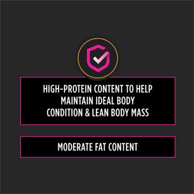 Alimento veterinario para gatos PPVD Feline UR - Urinario | Pollo | 8 kg