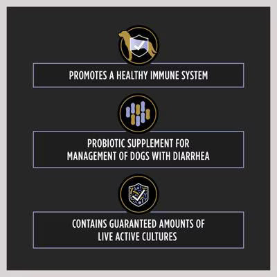 Suplemento para Cão Pro Plan Dog Fortiflora | 30 saquetas de 1 g