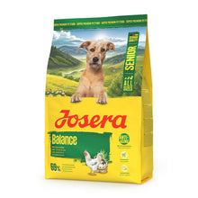 https://cdn.shopify.com/s/files/1/0916/7627/9129/files/josera-all-sizes-balance-racao-seca-para-cao-senior-frango-e-arroz_0c48d30e-6d07-47da-8904-bbdad08ceb3b.jpg?v=1774454385