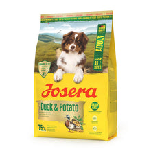 https://cdn.shopify.com/s/files/1/0916/7627/9129/files/josera-all-sizes-racao-seca-sem-cereais-para-cao-adulto-pato-e-batata_07c54cce-0ab9-41c3-9f4d-d9c3db43bfeb.jpg?v=1774454312