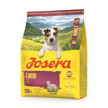 https://cdn.shopify.com/s/files/1/0916/7627/9129/files/josera-mini-racao-seca-sem-cereais-para-cao-mini-borrego.jpg?v=1774456060