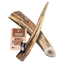 Kaudas - Chifre de Veado Vermelho Wildkraft - Snack para cão
