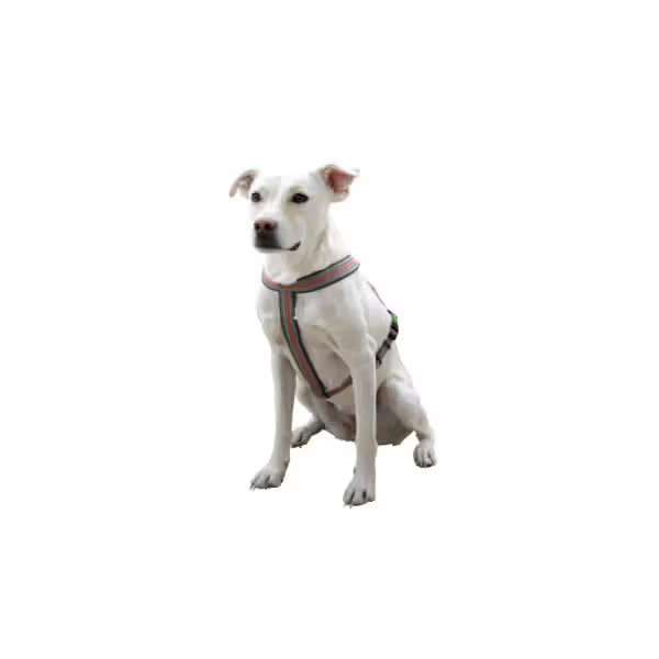 Kerbl Xenos Black Reflective Harness