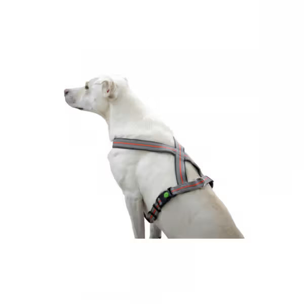 Kerbl Xenos Black Reflective Harness