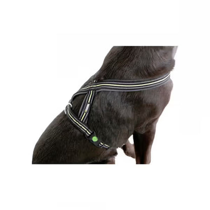 Kerbl Xenos Black Reflective Harness
