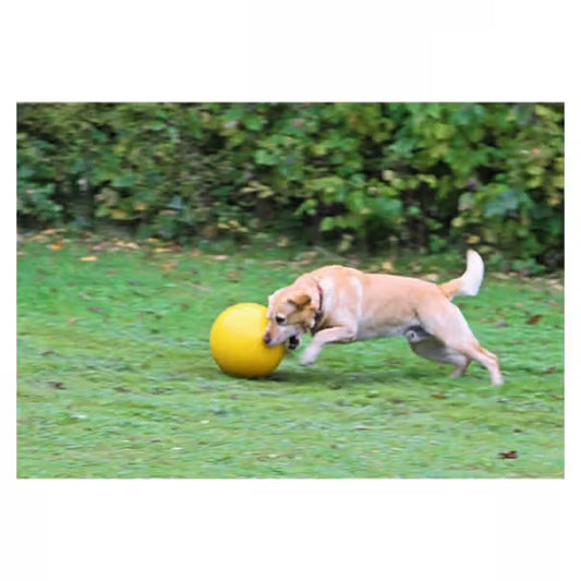 Kerbl - Pelota para perro
