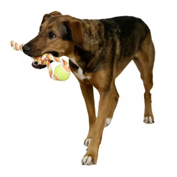 Kerbl - Juguete para perro