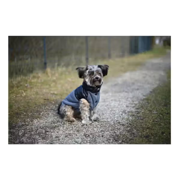 Kerbl Casaco Quebec - for dogs