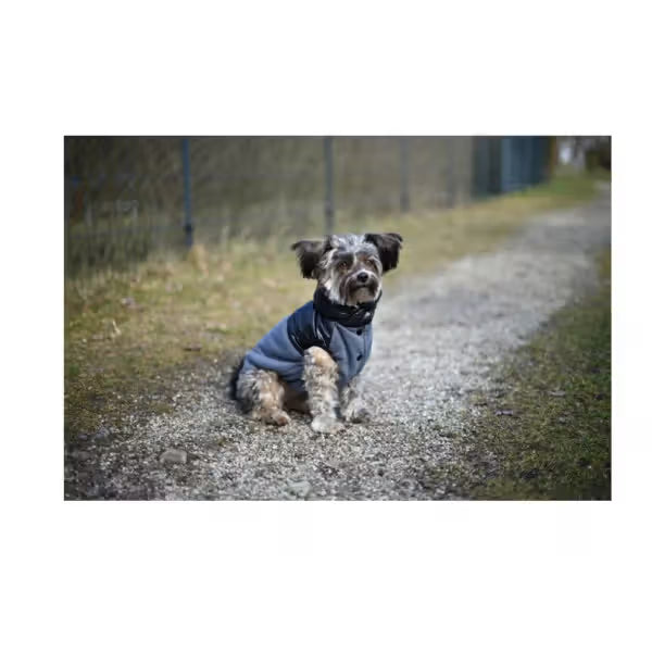 Kerbl Casaco Quebec - para cão