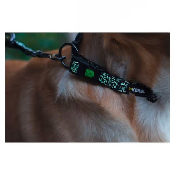 Kerbl Shiny Night - Coleira refletora para cão