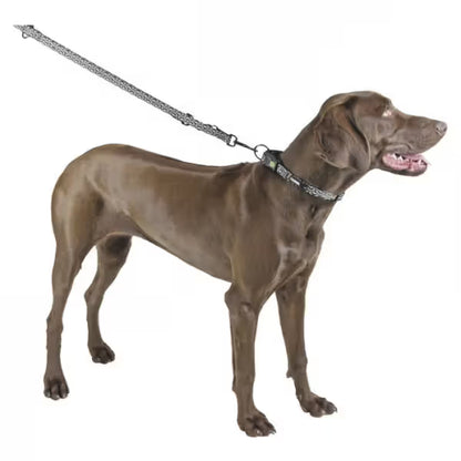 Kerbl Shiny Night - Coleira refletora para cão