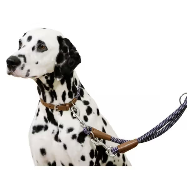Kerbl Phoenix - Coleira para cão