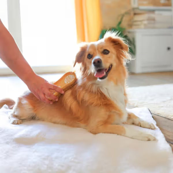 Kerbl Magic Brush Soft - Escova para cão