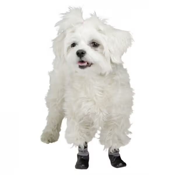 Kerbl - Socks for dogs