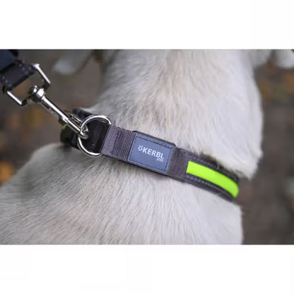 Kerbl Light & Reflex 120 cm / 25 mm - Light-up dog lead