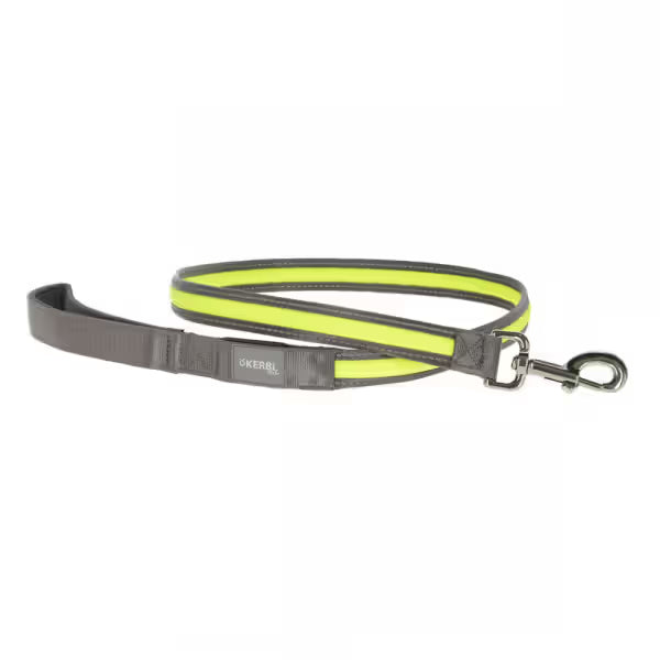 Kerbl Light & Reflex 120 cm / 25 mm - Light-up dog lead