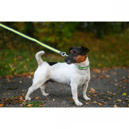 Kerbl Light & Reflex 120 cm / 25 mm - Light-up dog lead